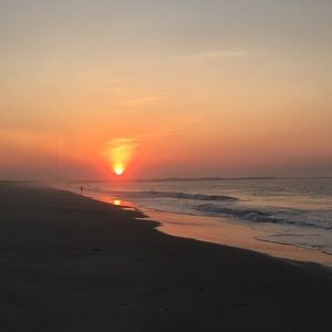 Meet your Posher, Noelle